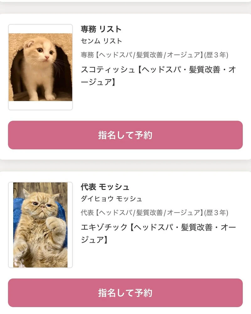 ブログ